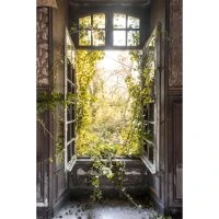 Cadre Photo Nature Style Urbex En Plexiglas L80 X L120 Cm LIERE