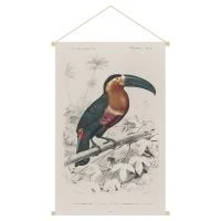 Kakemono Toucan L40 X L60 Cm TOUCAN