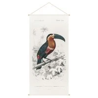 Kakemono Toucan L65 X L130 Cm TOUCAN