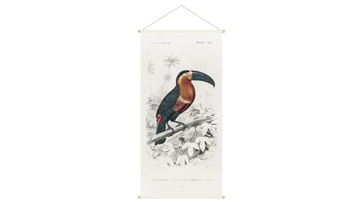 Kakemono Toucan L65 X L130 Cm TOUCAN 3 Kakemono Toucan L65 X L130 Cm TOUCAN